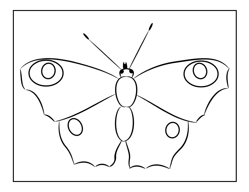 Simple butterfly coloring