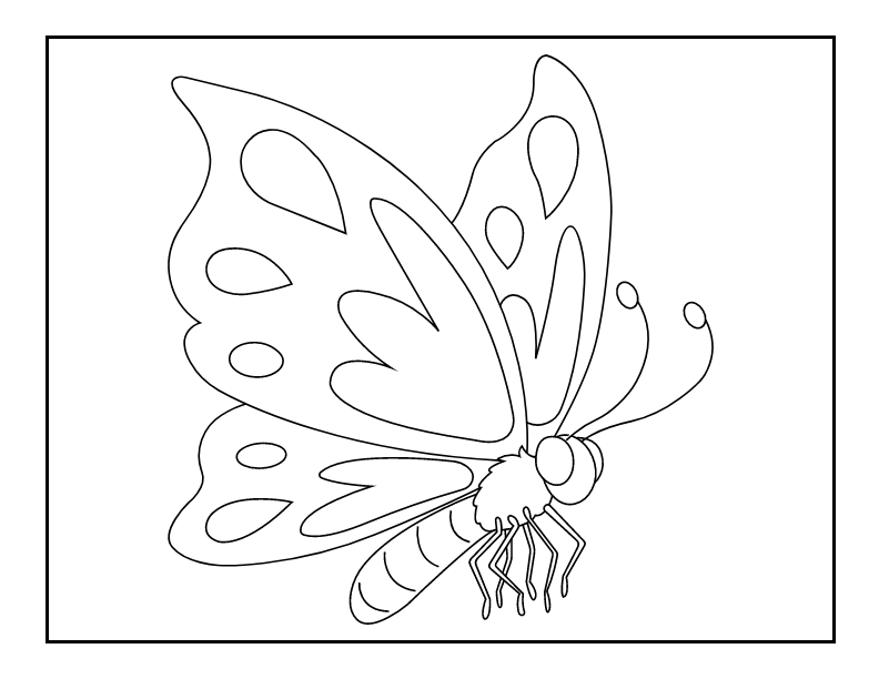 Flying Butterfly Coloring