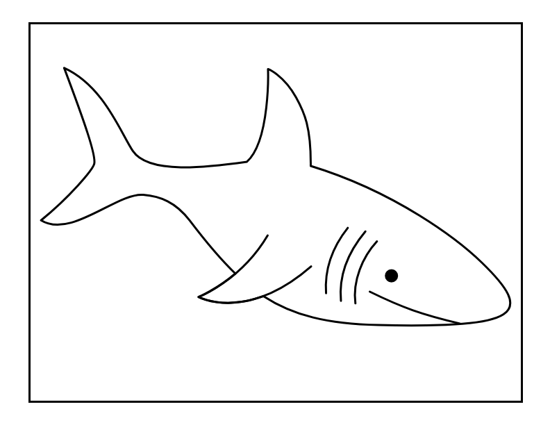 Little Shark Coloring