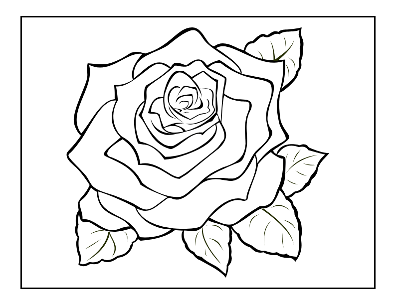 A Big Rose with Leaves