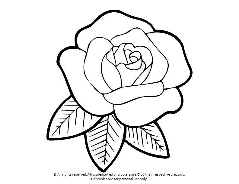 Rose with three leaves coloring