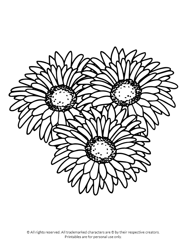 Beautiful three sunflowers